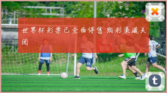 世界杯彩票已全面停售 购彩渠道关闭