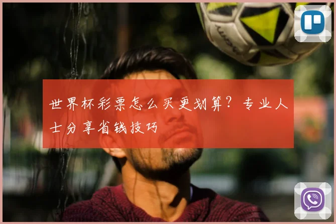 世界杯彩票怎么买更划算？专业人士分享省钱技巧