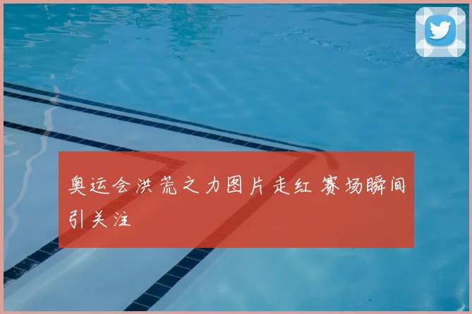奥运会洪荒之力图片走红 赛场瞬间引关注