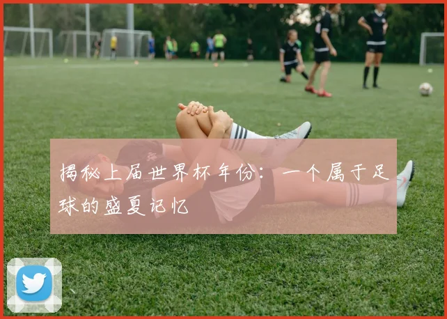 揭秘上届世界杯年份:一个属于足球的盛夏记忆