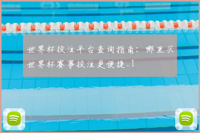 世界杯投注平台查询指南:哪里买世界杯赛事投注更便捷_1