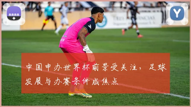 中国申办世界杯前景受关注，足球发展与办赛条件成焦点