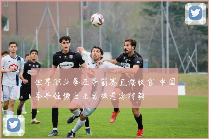 世界职业拳王争霸赛直播收官 中国拳手强势出击晋级悬念待解