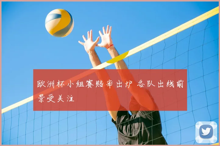 欧洲杯小组赛赔率出炉 各队出线前景受关注