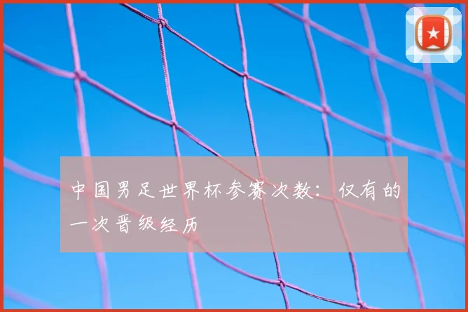 中国男足世界杯参赛次数:仅有的一次晋级经历