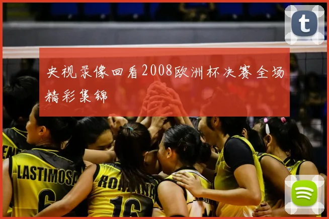 央视录像回看2008欧洲杯决赛全场精彩集锦