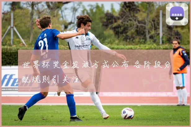 世界杯奖金发放方式公布 各阶段分配规则引关注