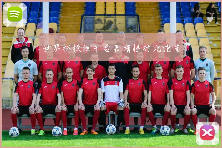 世界杯投注平台靠谱性对比指南