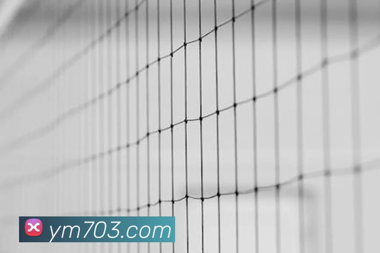 必一运动b官网全站App 必一运动b官网全站App